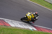 Lower Group Yellow Bikes